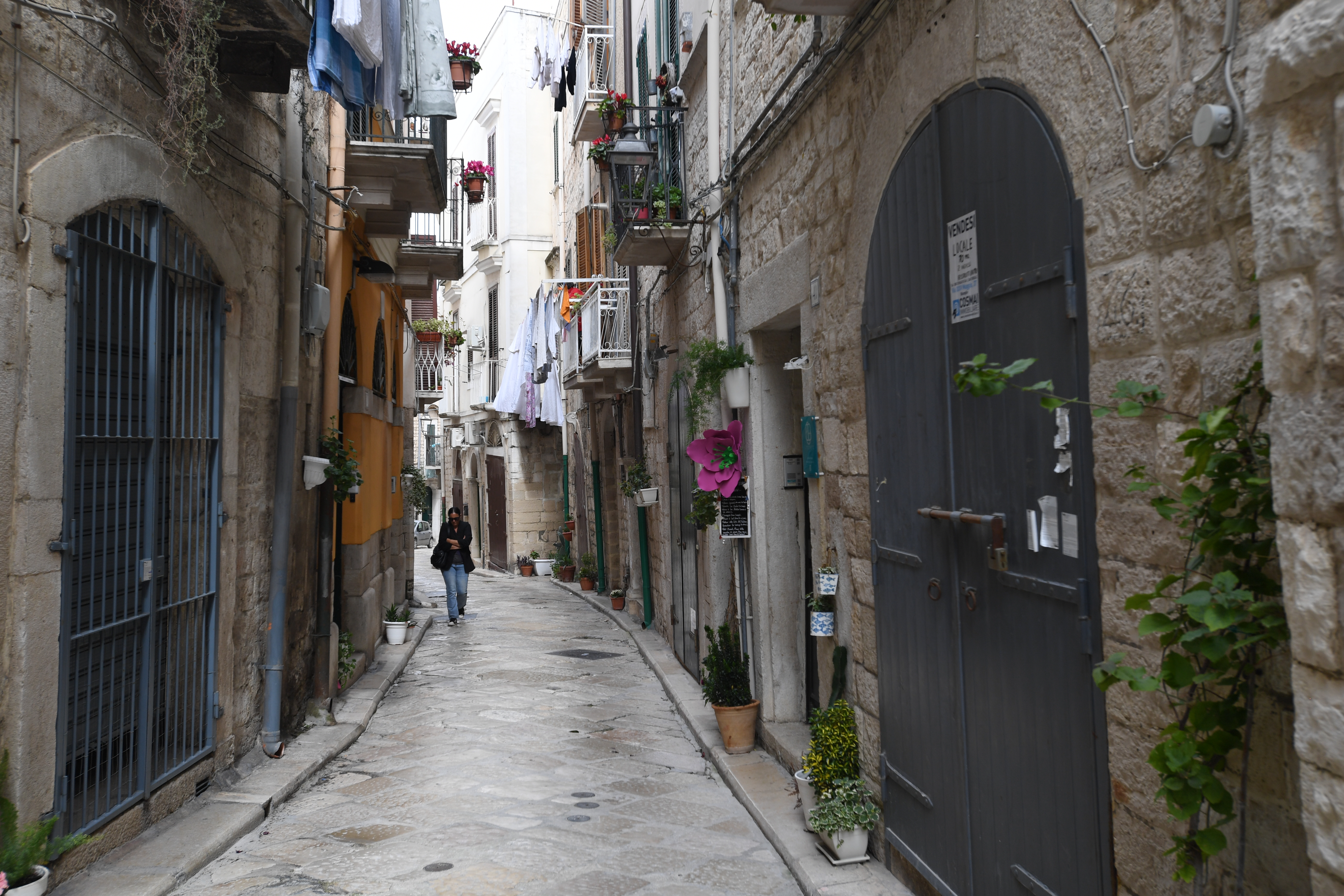 Trani