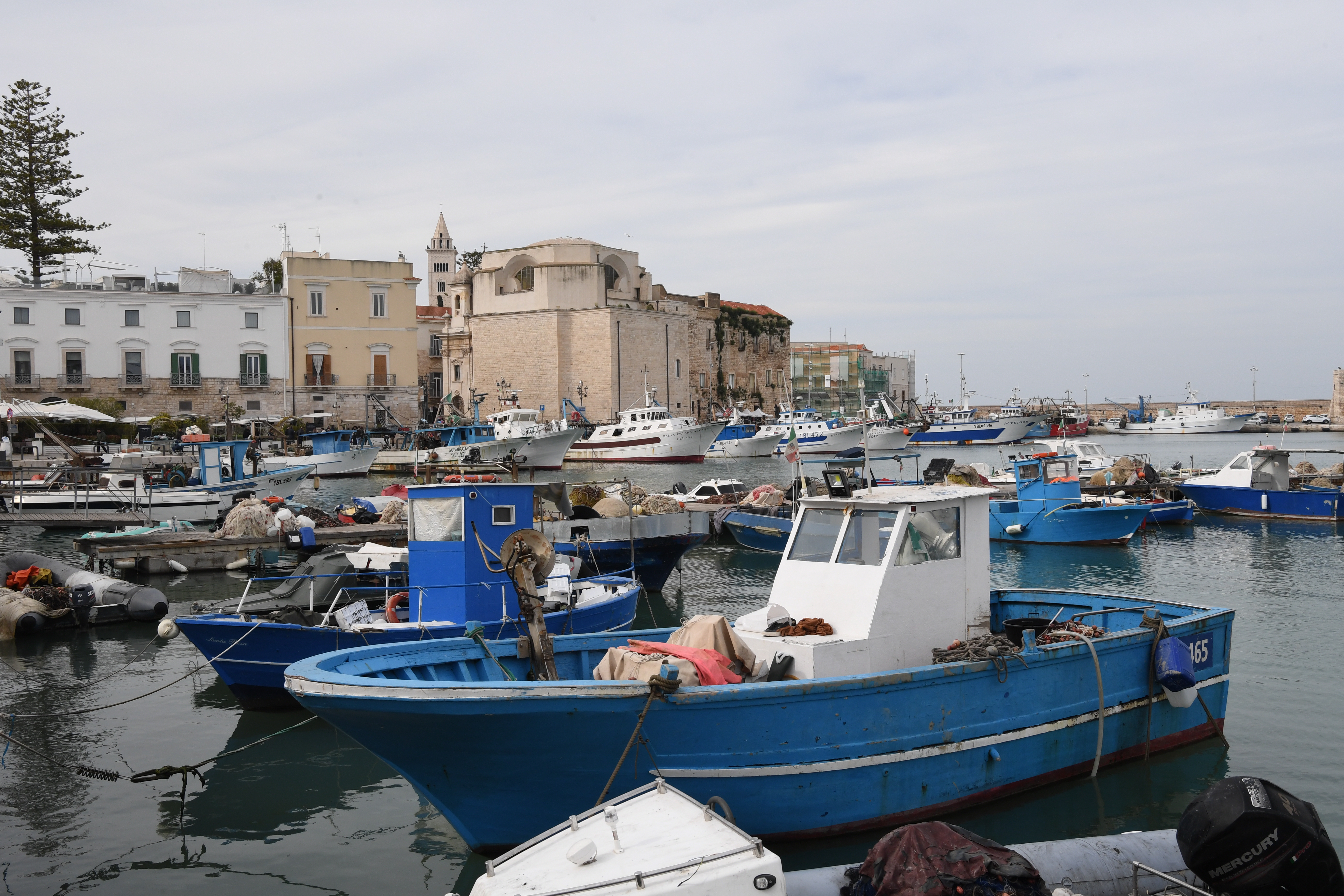 Trani