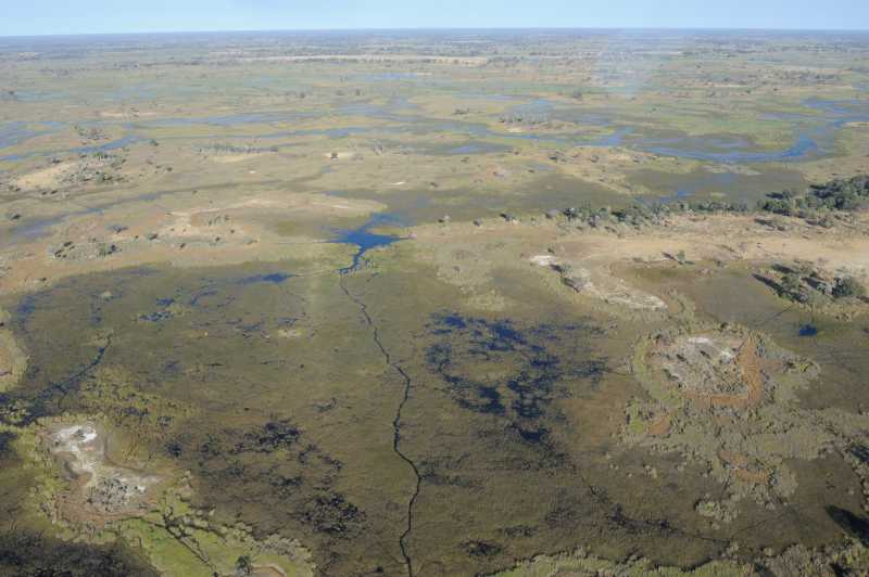 Okavango Delta, 07.2013