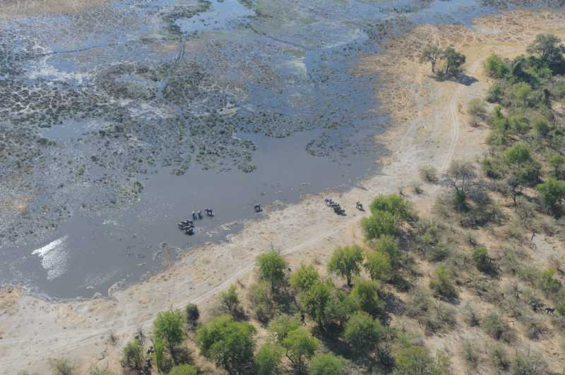 Okavango Delta, 07.2013