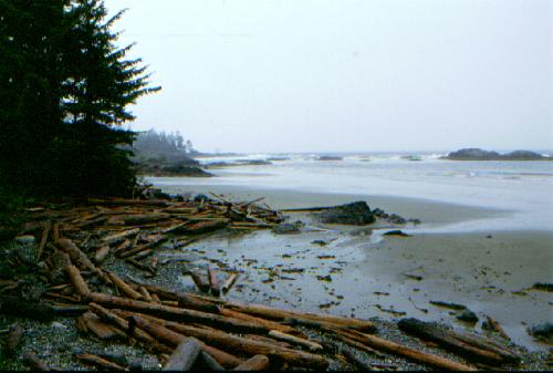 Vancouver Island 06/2000