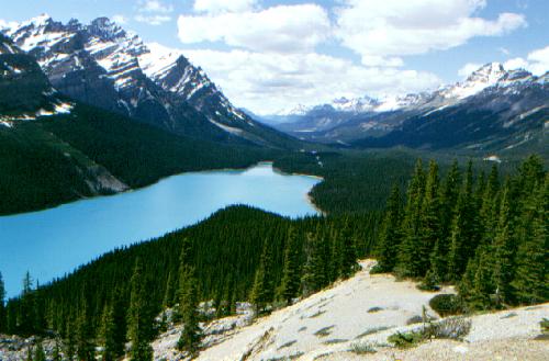 Peyto Lake, Banff N.P. 06/2000