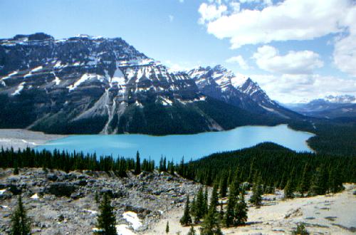 Peyto Lake, Banff N.P. 06/2000