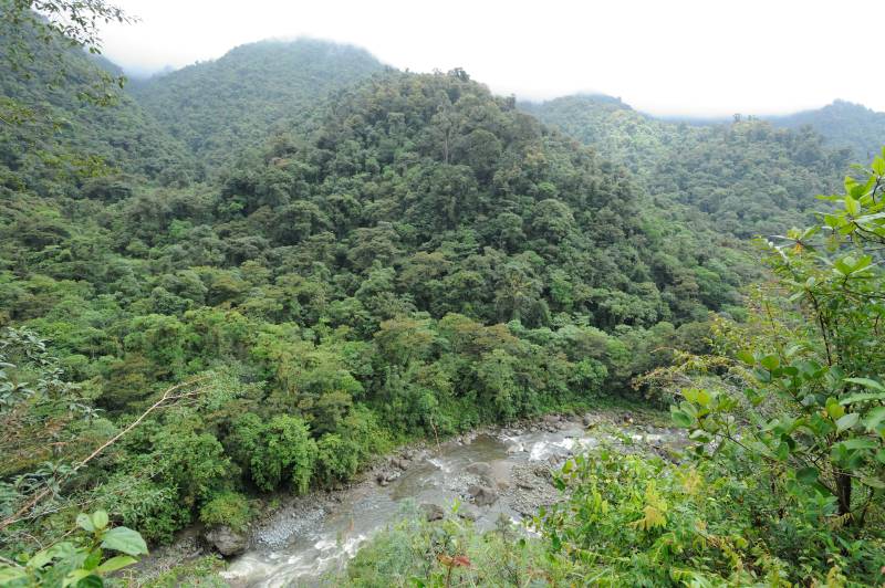 Tapanti-Nationalpark, 07.2011