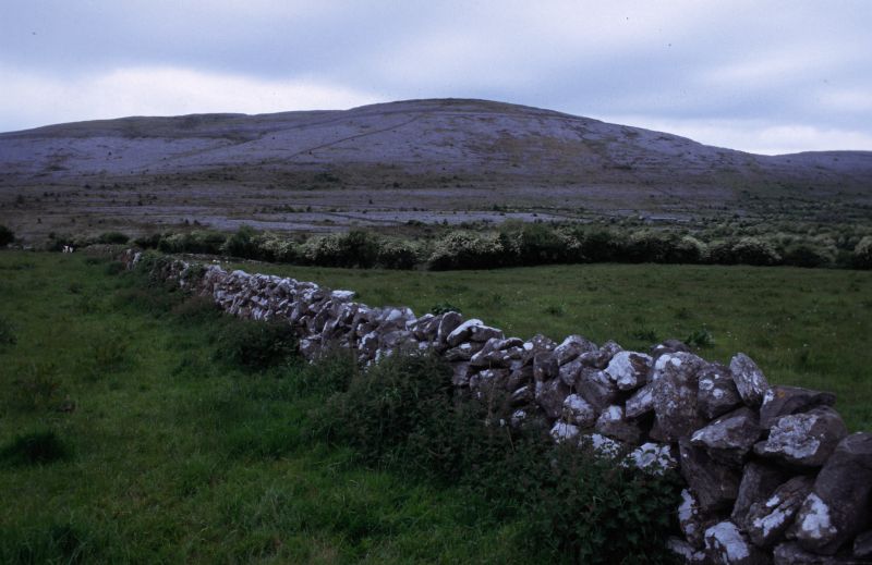 The Burren 05/2006