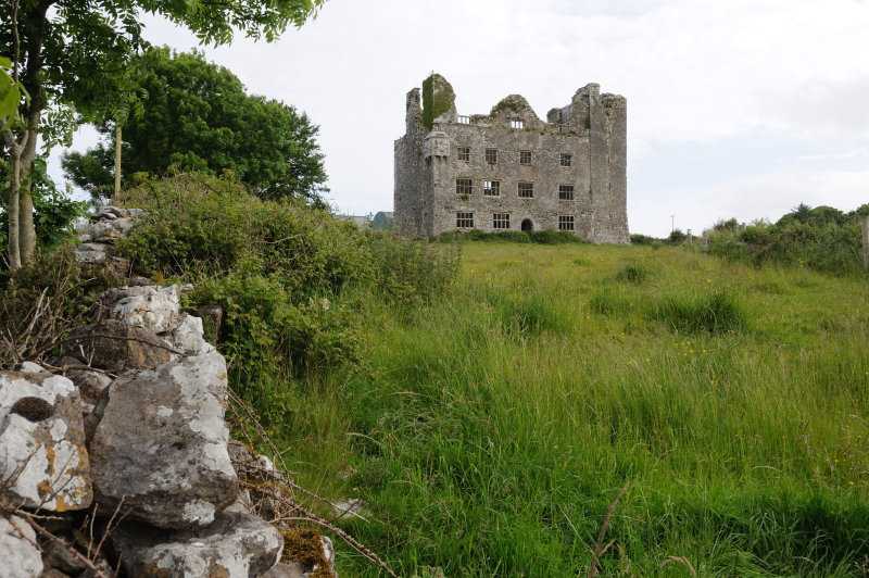 Leamaneagh Castle, 06.2009