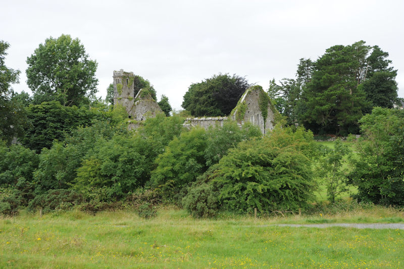 Ruine bei Quin Abbey, 07.2016