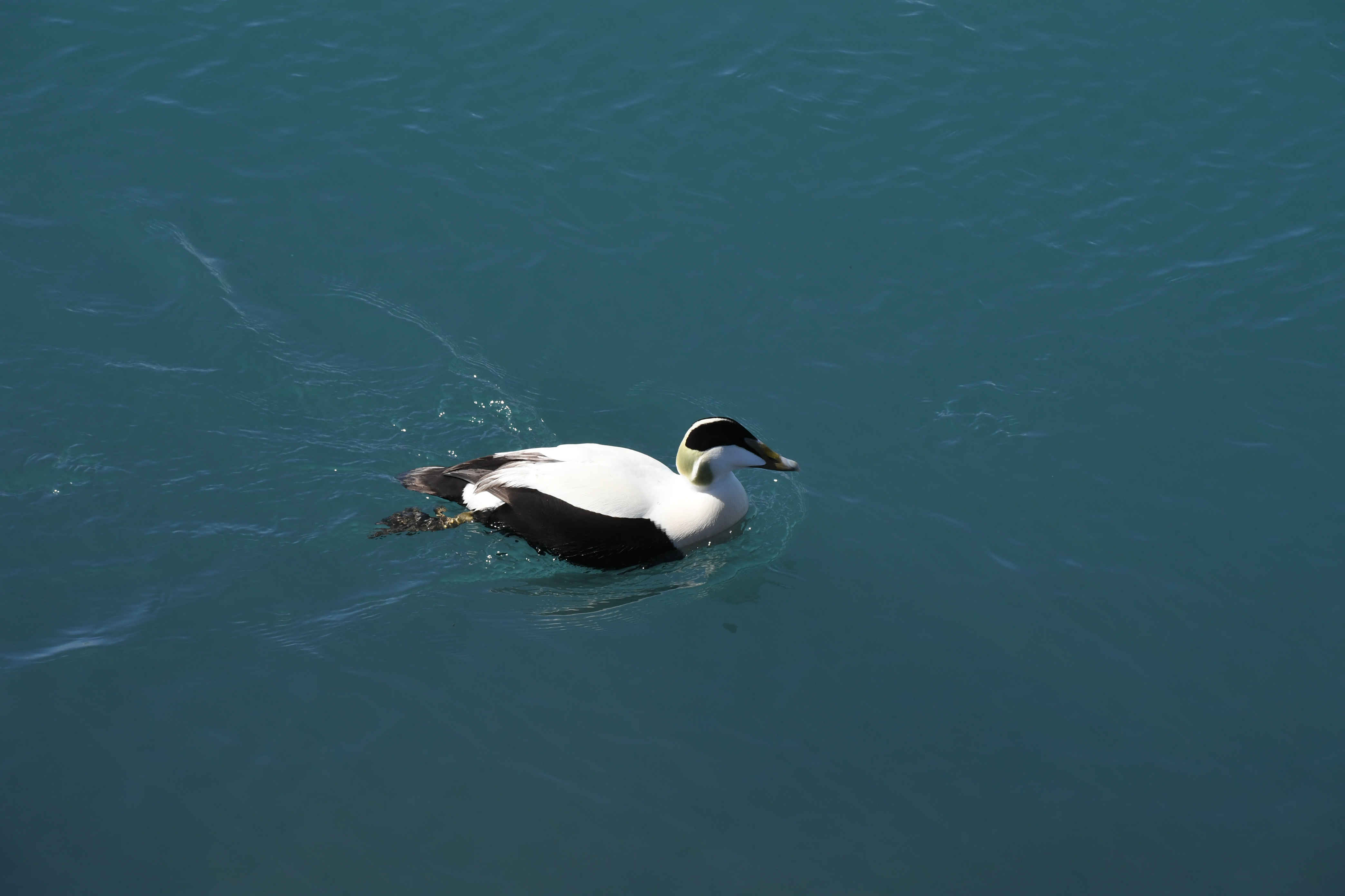 Jokulsarlon