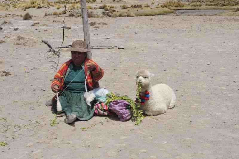 Altiplano, Peru, 09./10.2008