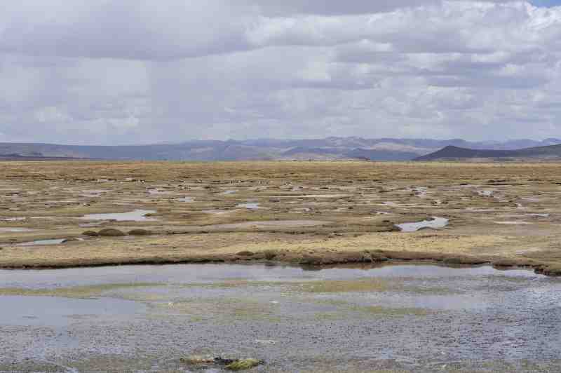 Altiplano, Peru, 09./10.2008