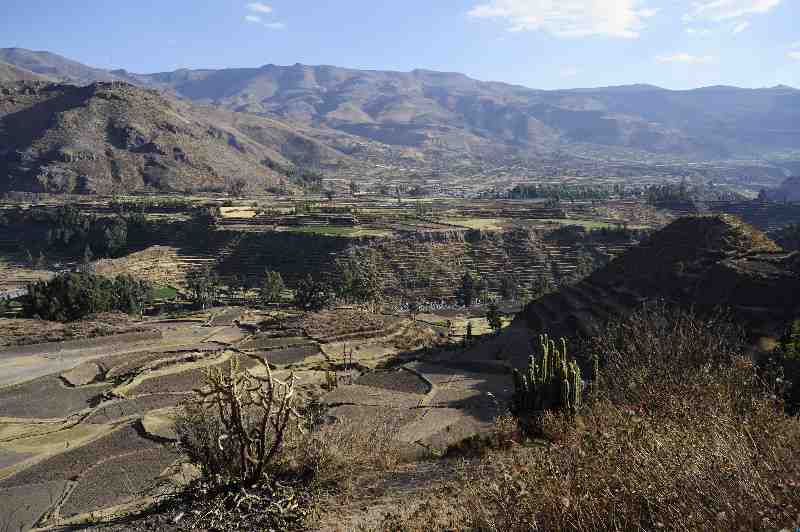 Umgebung Chivay, Peru, 09./10.2008