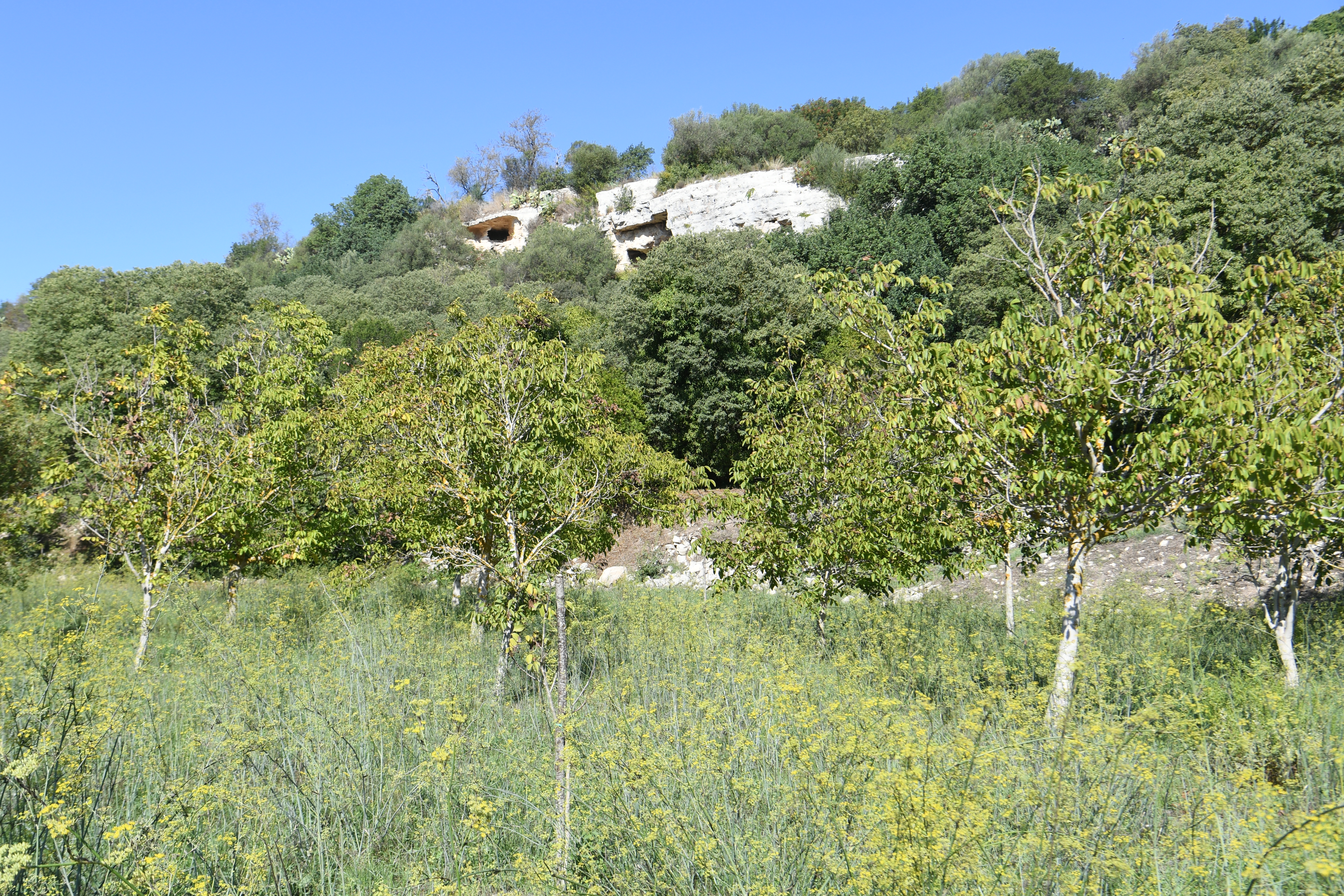 Parco Archeologico di Cava d'Ispica