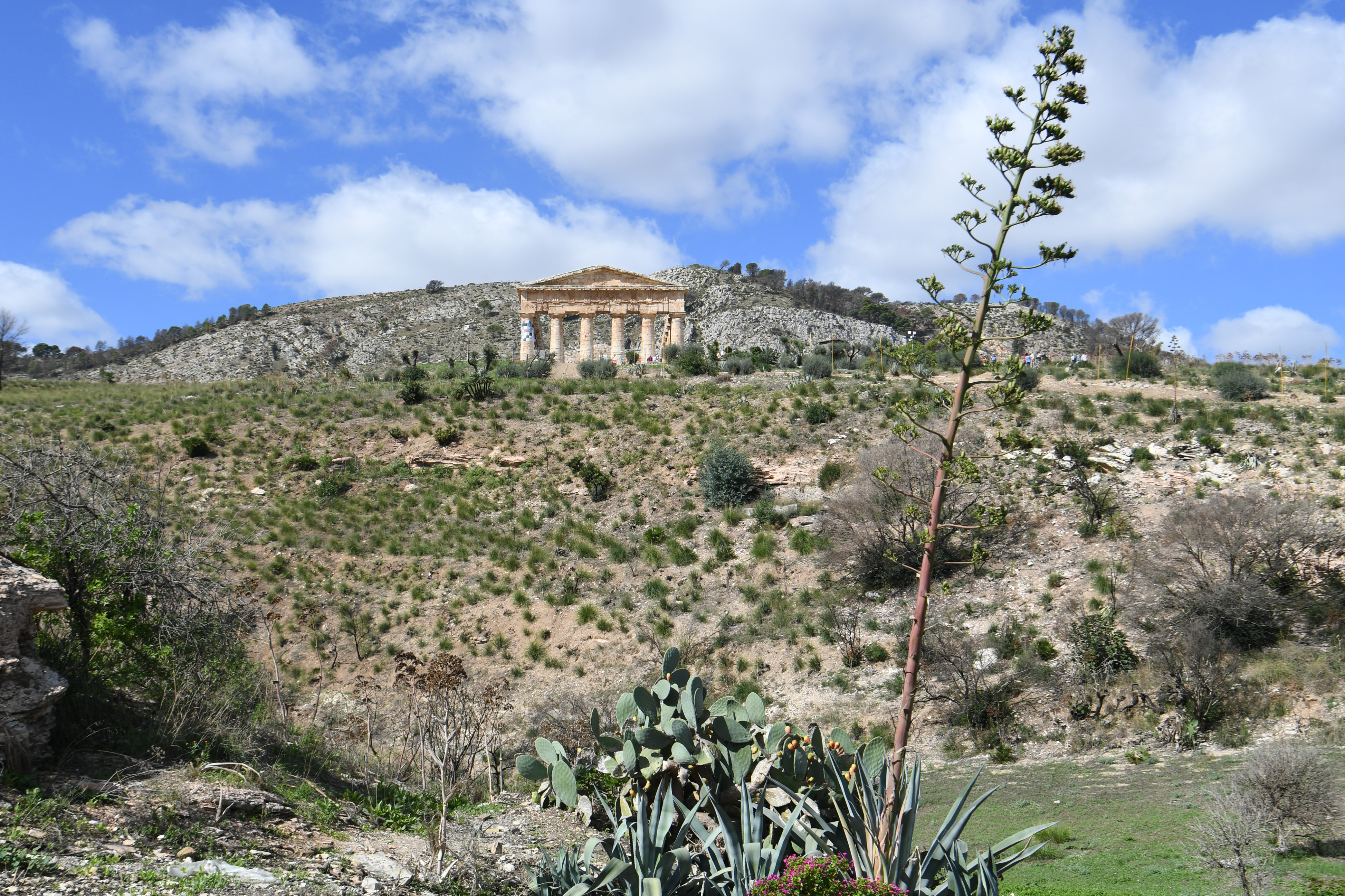 Tempio di Segesta, Segesta
