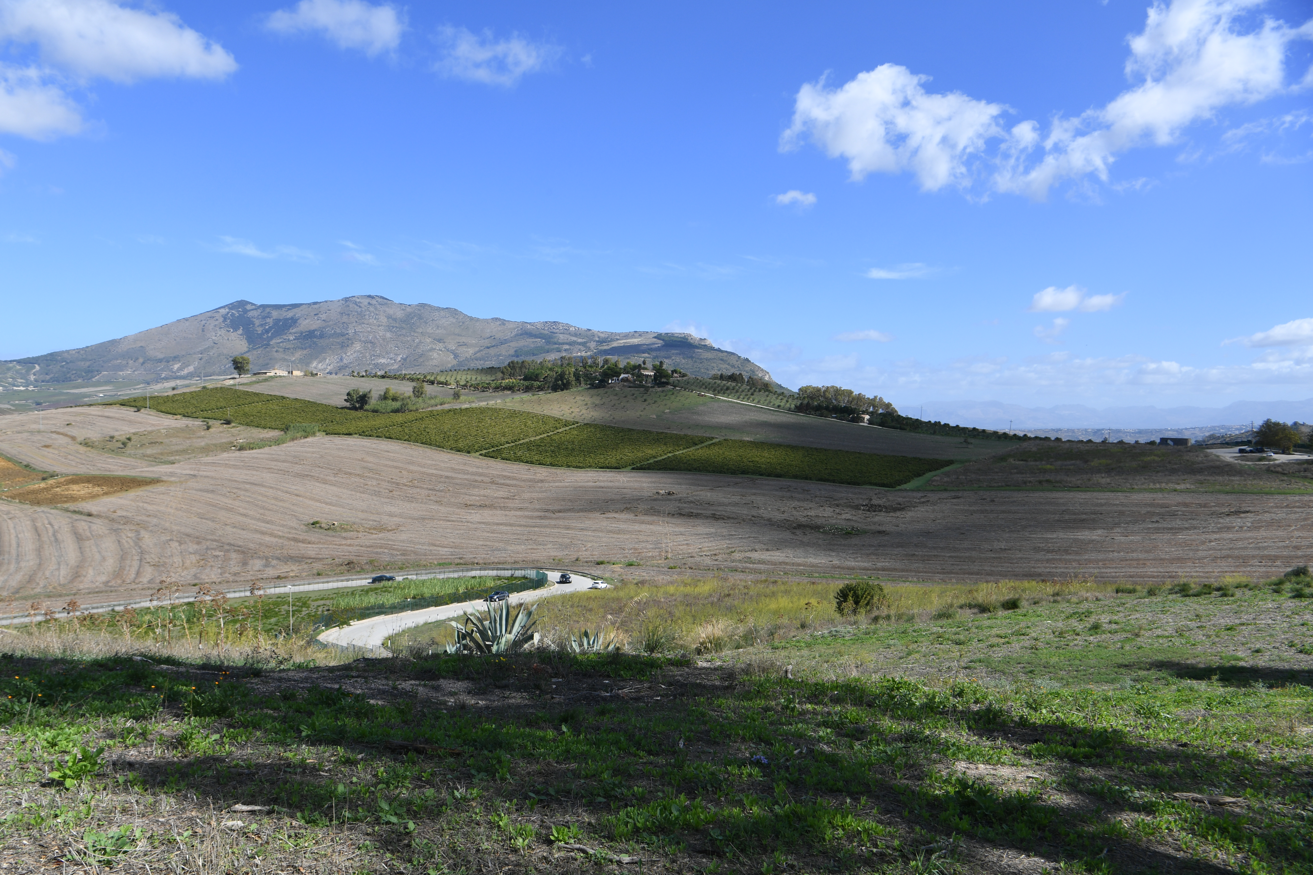 Umgebung Segesta