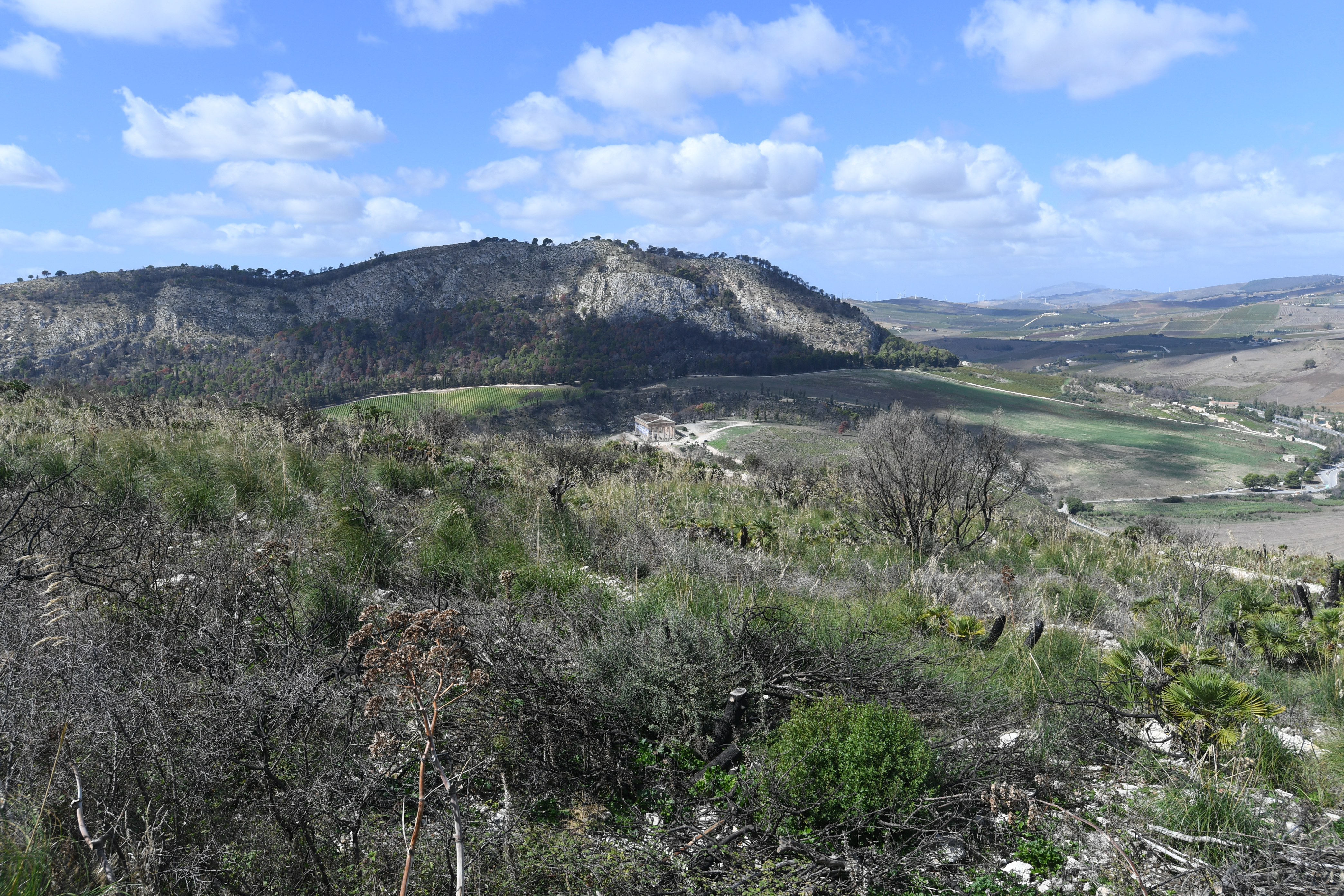 Tempio di Segesta, Segesta