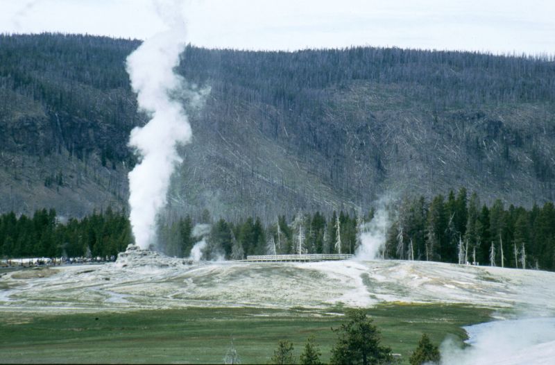 Yellowstone N.P. 06/1999