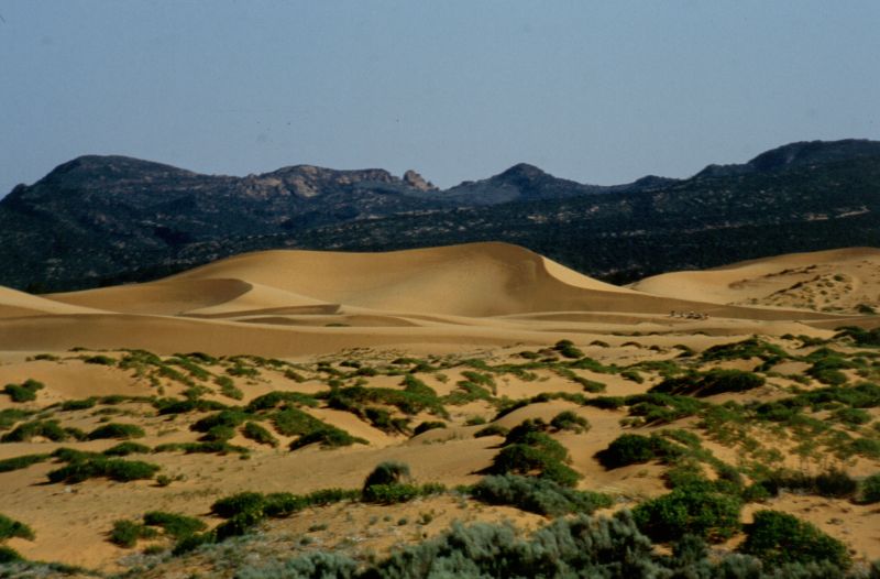 Pink Sand Dunes S.P. 06/1999
