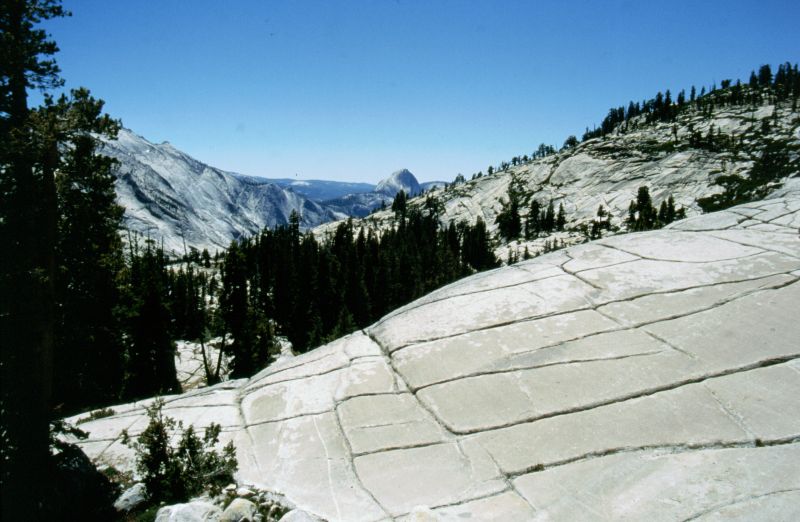 Yosemite N.P., Tioga Pass, 06/1999