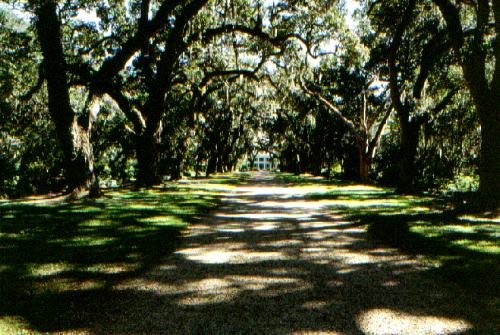 Rosedown Plantation, Louisiana 09/2001