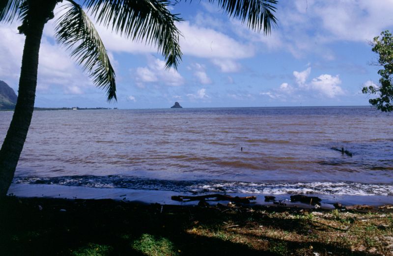 O´ahu, Kualoa Point, Moko Li´I Island, 10/2004