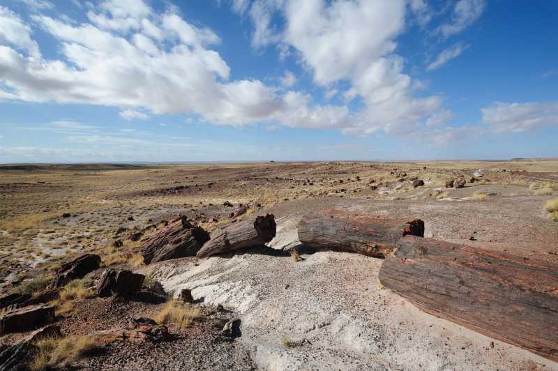 Petrified Forest N.P., 10.2009
