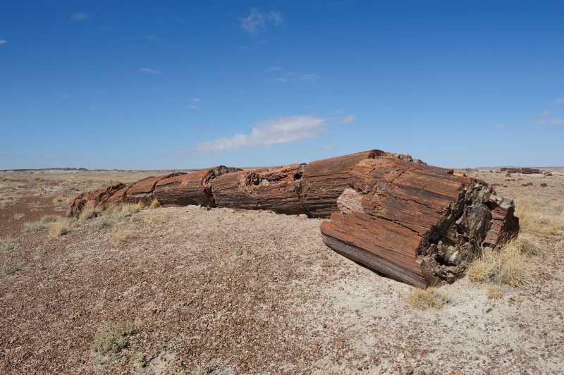 Petrified Forest N.P., 10.2009