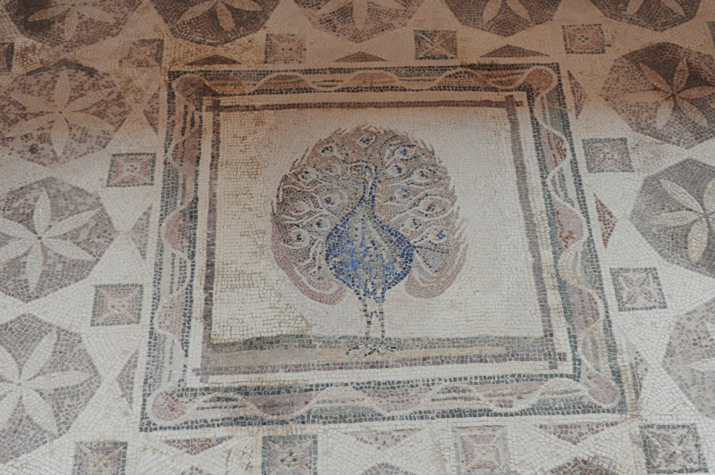 Paphos, House of Dionysos, 03.2018